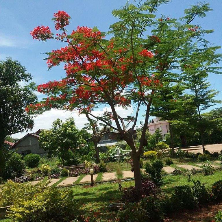 Xuanmai Garden Resort Pakxé Zewnętrze zdjęcie