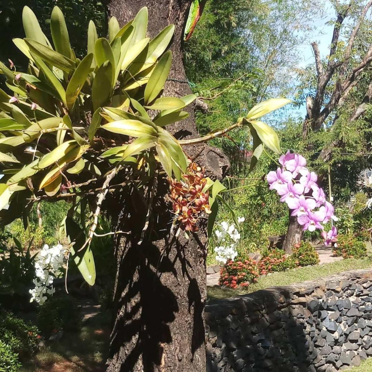 Xuanmai Garden Resort Pakxé Zewnętrze zdjęcie